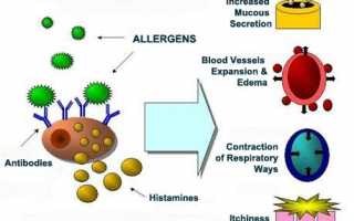 Гистамин и его роль в развитии аллергических реакций