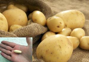 Как правильно подготовить картофельные свечи от геморроя, отзывы
