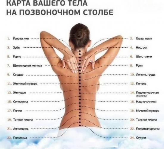 Применяют и точечный массаж, позволяющий расслабить мышцы и усилить лечебный эффект за счет того, что определенные точки на шее отвечают за работы определенных систем