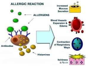 Аллергическая реакция и роль гистамина в ней