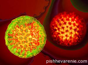 Ротавирус под микроскопом