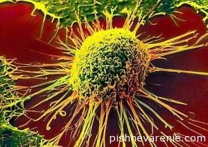 Раковая клетка с метастазами